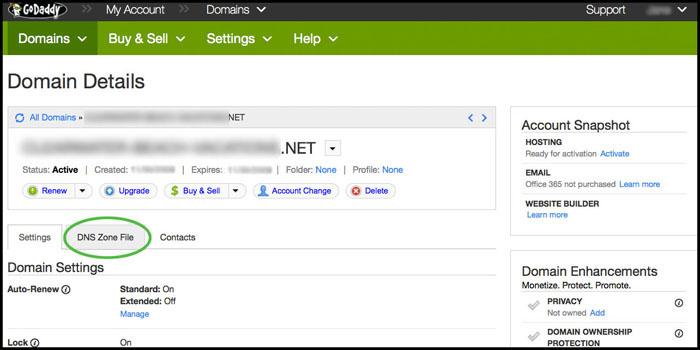 SPF Records GoDaddy Domain Details Screen