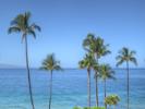 Kamaole Nalu 501 Kamaole Nalu 501